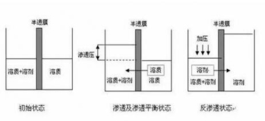 ro膜是什么？為什么說它是凈水器的靈魂？